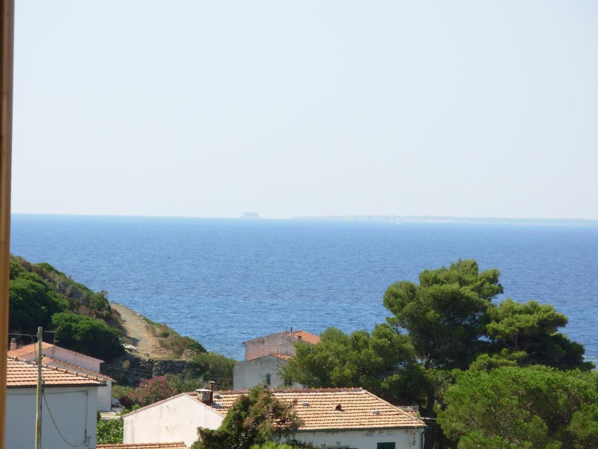 Appartamento Il Nespolo Pomonte Esterno foto